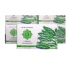 Four Elements 4E White Pine Sage Soap, Organic Herbal Soap,