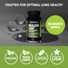 Mullein Leaf Capsules for Respiratory Health - 5000mg Extract 10:1