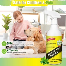 16 oz Pest Peppermint Oil Repellent Spray to Repel Spiders, Mice, Rat, Ants, Natural Spray for Bugs and Insects, Powerful Spider Repellent for Indoors & Outdoors