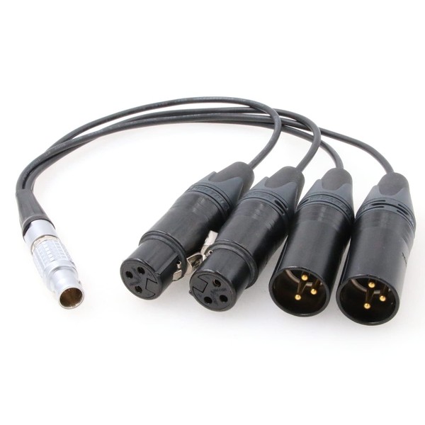 ZBLZGP Audio Breakout Input Output Cable 10 Pin Male to