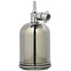 Anest Iwata PC250SB2LF Gravity Cup with Stainless Steel Stems, 8.5