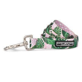 Lucky Love Dog Leash | Beautiful Vivid Patterns | Durable & Long Lasting (Laguna, Small)