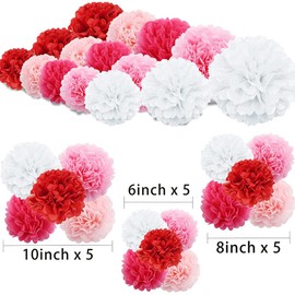 YFFSFDC Paper Pom Poms, Honeycomb Balls, Set of 15, Paper Flowers, Parties, Paper Pom Poms, Birthdays, Graduations, Decorations, Weddings, Decorations, Interior, Wedding, Photography, Celebrations, Anniversaries, Festivals, Cultural Festivals, Birthday D