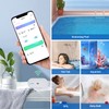 INKBIRD Wireless Pool Thermometer and WiFi Gateway Combo, with IBS-P01R