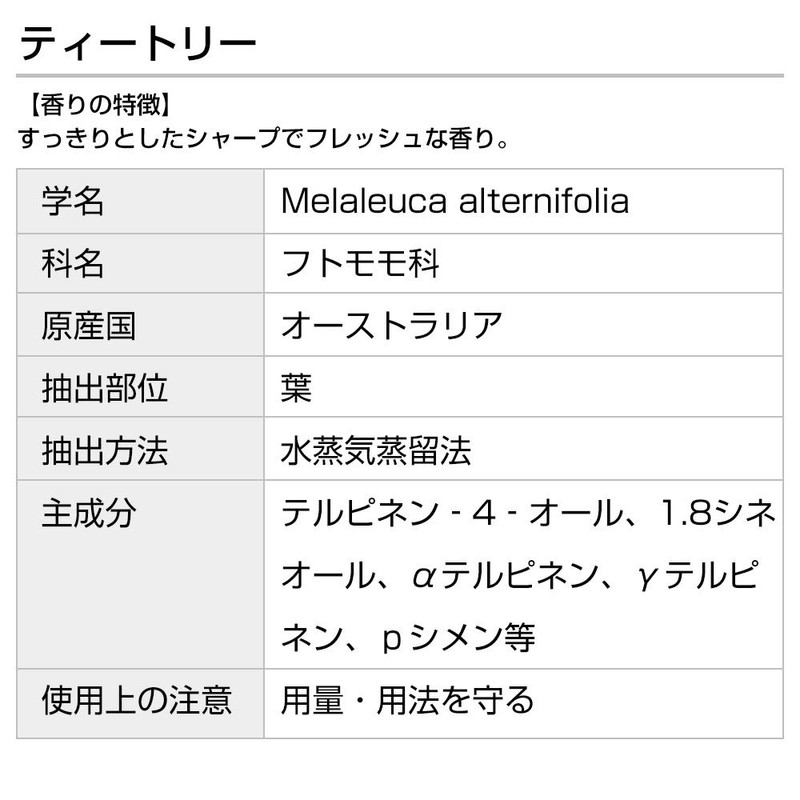 tea tree 5ml tea tree incent essential oil essential oil