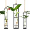 MIPON Plant Propagation Stations,Hanging Glass Propagation Test Tube Vases for