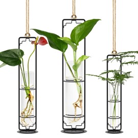 MIPON Plant Propagation Stations,Hanging Glass Propagation Test Tube Vases for Plants with Gold Metal Stand for Hydroponic Cutting Home Garden Office Decor-Black