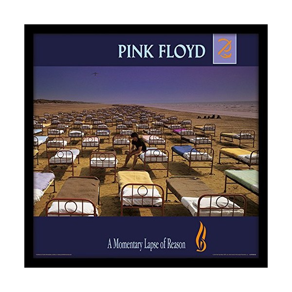 Pink Floyd A Momentary Lapse of Reason Framed Classic Album Sleeve Memorabilia, Multi-Colour,12-Inch