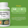 Natural Factors - Peppermint Oregano Oil Complex, Support for Gastrointestinal