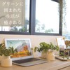 Kishima KH-61250 Artificial House Plants, Fake Green, Artificial Plants, Never