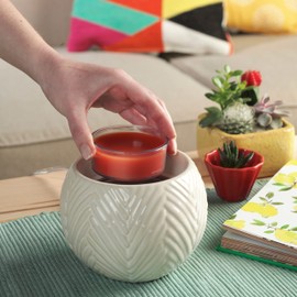 Yankee Candle, Plastic, Sparkling Cinnamon, Scenterpiece Melt Cups