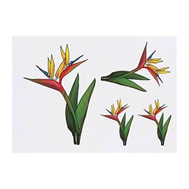 4 x 'Bird Of Paradise Flower' Temporary Tattoos - Water Resistant, Skin-Safe, Non-Toxic Transfers, Mixed Sizes (TO00058490)
