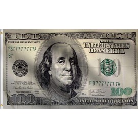 DMSE 100 One Hundred Dollar Bill Flag 2X3 Ft Foot 100% Polyester 100D Flag