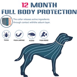 Hitpest Hitpest Flea and Tick Collar for Large Dog, 12-Month Full-Body Protection, Natural Ingredients, Free Flea Comb and Tweezers Included, 2 Packs