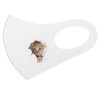 igsticker 018089 Design Mask, Set of 2, Polyester, Washable, Cloth