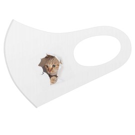 igsticker 018089 Design Mask, Set of 2, Polyester, Washable, Cloth Mask, Unisex, One Point, Cat, Kitten, Trick Art