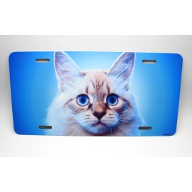 DIGIART INTERNATIONAL CAT EYES ANIMAL LOVE FRIEND PAWS METAL NOVELTY CAR LICENSE PLATE AUTO TAG