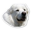 Magnet America Great Pyrenees Dog Magnet is 4.25" x 4.875"