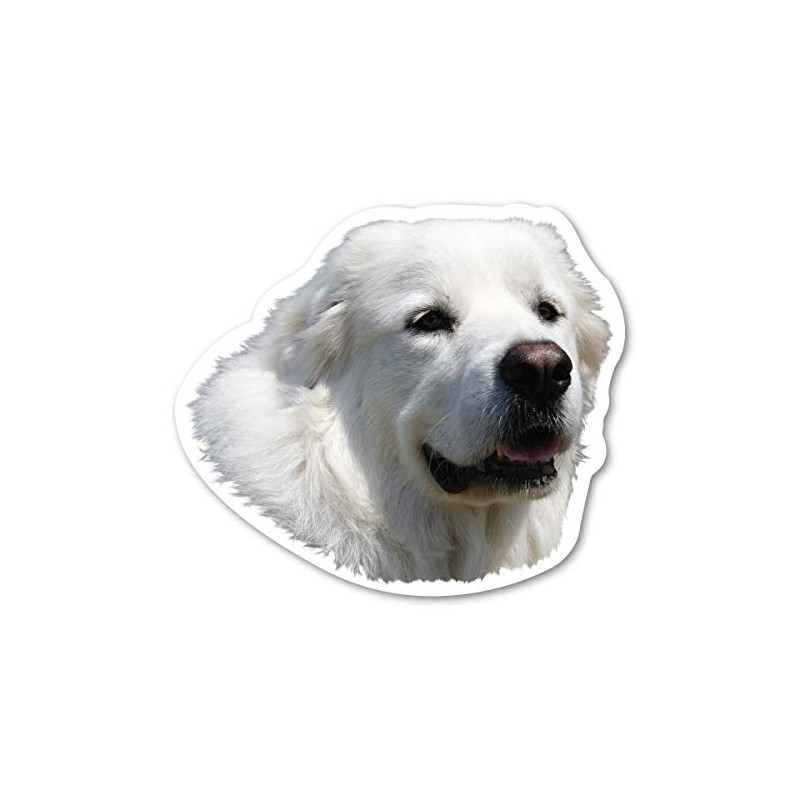 Magnet America Great Pyrenees Dog Magnet is 4.25" x 4.875"