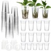 Baderke 35 Pcs Plastic Plant Propagation Station Desktop Terrariums Plant