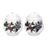 Portmeirion Home & Gifts Salt & Pepper Set, Ceramic, Multi-Colour,