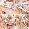 Welsberg Nutcracker Nutcracker Walnut Opener, Metal Walnut Cracker with Ergonomic