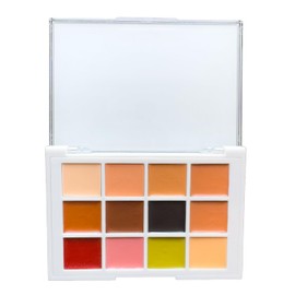 Narrative Cosmetics Tattoo Cover-up QS Cream Palette - Full Coverage Concealer for Tattoos, Scars, and Skin Imperfections – Easy-to-Use, Long-Lasting, and Smudge-Resistant Makeup