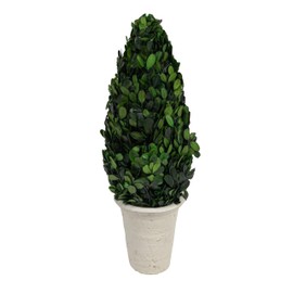 Creative Co-Op Boxwood Topiary in Clay Pot