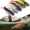 Pack of 5 rubber fish, fishing lure set, zander bait,
