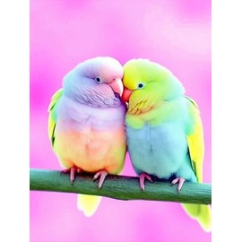 5D DIY Diamond Art Painting Colorful Bird, Embroidery Cross Stitch Craft Kit Modern Arts Crafts Full Drill Great Gift Idea for Women and Girls Bedroom Living Room Decor 12x16 inch (30x40 cm)