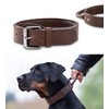 Jack Premium Leather Dog Collar with Handle, Real Leather, Very
