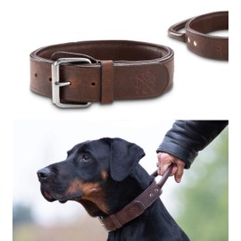 Jack Premium Leather Dog Collar with Handle, Real Leather, Very Robust, Jack (M)