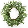 AMF0RESJ 20 '' Green Eucalyptus Wreath for Front Door Artificial Spring Summer Wreath with Large Willow Leaf for Farmhouse Wall Window Outdoor Indoor Wedding Party Home Decor, White Gift Box Included