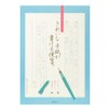 Midori Stationery Write Clean Letter Stationery Thin Ruled 20435006