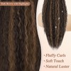 BARSDAR Dark Brown with Highlight Long Curly Wavy Drawstring Ponytail