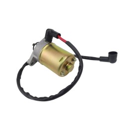 Soarider 50cc STARTER MOTOR & BENDIX FOR 139QMB CHINESE SCOOTER MOPED TAOTAO JONWAY