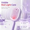 Electric Spray Air Cushion Massage Comb, Self-Clean Hair Detangler Brush