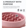 Outward Hound Fun Feeder Slo Bowl, Slow Feeder Dog Bowl,