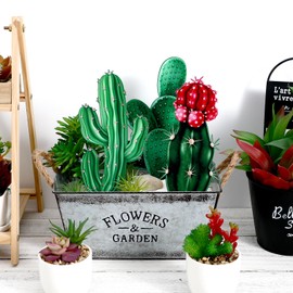 YARNOW YARNOW 3Pcs Acrylic Cactus Garden Plant Stakes, Realistic Cactus Yard Stakes for Outdoor Lawn, Patio, and Garden, Green Decorative Plant Stakes for Home and Party Decoration