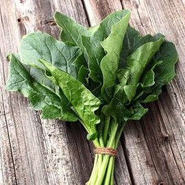 Spinach Seeds - Bloomsdale Long Standing - 1/4 Pound - Vegetable Seeds, Heirloom Seed, Open Pollinated Seed Easy to Grow & Maintain, Fast Growing, Leafy Vegetable, Container Garden