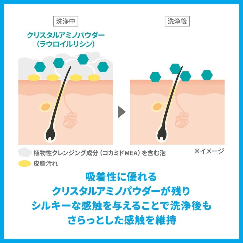 Sea Breeze Shampoo Refill Set with Special Tissue (11.2 fl