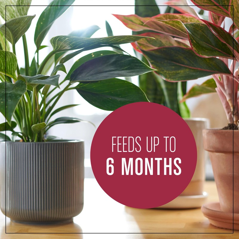Miracle-Gro Houseplant Potting Mix: Fertilized, Perlite Soil for Indoor Gardening,