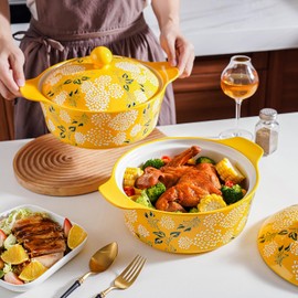 Wisenvoy Casserole Dish With Lid Casserole Dish Casserole Dishes For Oven Ceramic Baking Dishes For Oven Baking Dish