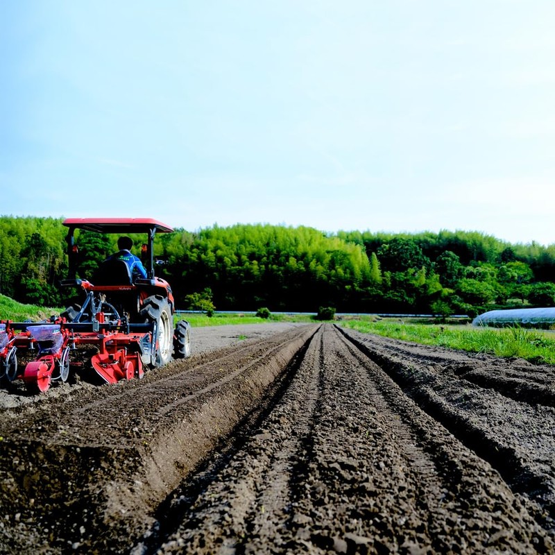 Taiyo Foods TUYU 2-Layer Serum