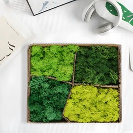 Reindeer Moss,Fake Moss 4 Colors Preserved Moss Box,Artificial Green Moss Decor for Plants Indoor Outdoor,Four Shades,DIY Craft Supplies,Home Wall Art,Terrarium,Model Landscaping,1 Box