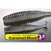 ISSEI Worm Caramel Shad 3.5" Baby Shiner #06 Lure