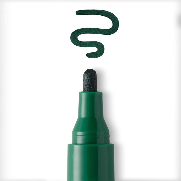 MICHAELS Craft Smart® Paint Pen Set, Holiday