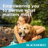 Blackmores Insolar 120 Tablets