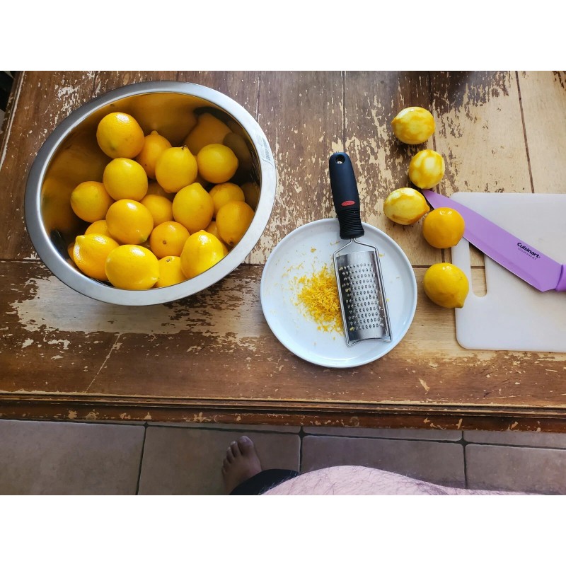 Tree 10 Meyer Lemon Seeds Organic 🍋 Freshly Harvested 01/25