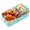 Skater PFLB6AG-A Lunch Box, 18.9 fl oz (530 ml), Antibacterial,